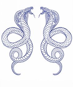 a drawing of two snakes facing each other with their heads in the same direction,