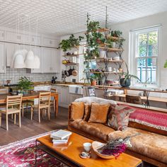 a living room filled with furniture and lots of plants on top of the shelves next to a kitchen