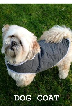 a white dog wearing a gray coat on top of green grass with the words dog coat written below it