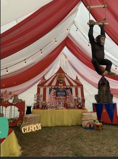 a monkey is hanging upside down on a pole in front of a circus tent with red and white drapes