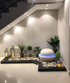 a room with some plants and rocks on the floor next to a stair case in it