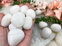 White Agate Tumbled Crystal Stones from Contempo Crystals Shop. A stone of balance and healing energy. Overcoming Resentment, Onyx Meaning, Crystal Power, Onyx Crystal, Crystals Healing Properties, White Onyx, Crystals For Sale, White Agate, Energy Work