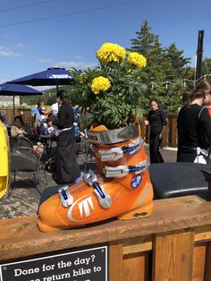 a pair of ski boots with flowers in them