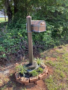 a mailbox sitting in the middle of a flower bed with plants growing around it