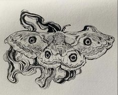 a black and white drawing of a moth with large eyes on it's wings