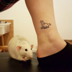 a white rat sitting on top of a table next to a person's foot