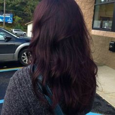 Red Dye Over Black Hair, Dark Red Hair Almost Black, Dark Purple Black Hair, Purple Dark Hair, Plum Brown Hair Color, Hair Colours For Winter, Dark Wine Hair