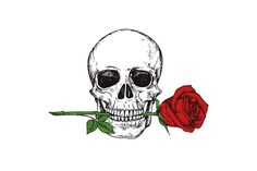 a skull with a rose in its mouth