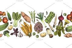 watercolor and ink drawing of vegetables