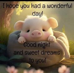 a little pig sitting on top of a pillow with the caption, i hope you had a wonderful day good night and sweet dreams to you