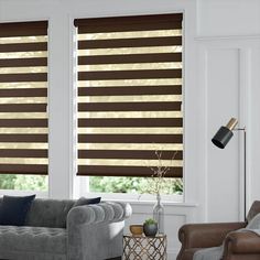 a living room filled with furniture and windows covered in blinds