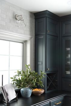 a kitchen with blue cabinets and green plants in vases on the counter top next to a window