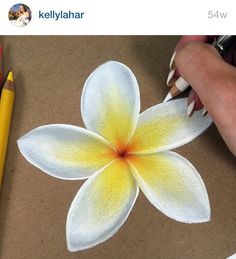 someone is drawing a flower with colored pencils