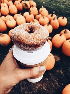 a person holding a cup with a donut on top of it in front of pumpkins