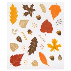 an assortment of leaves and acorns on a white background with the words autumn written below it