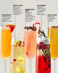 the different types of drinks are labeled in this chart, which one should you choose?