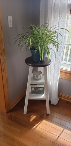 a potted plant sitting on top of a table next to a window with white curtains