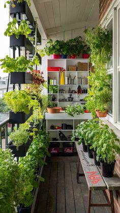 the balcony is filled with potted plants and hanging shelves full of houseplants