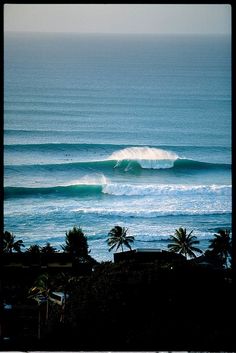 a large wave in the ocean with palm trees and blue sky behind it, as seen from an overlook point