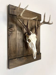 a deer skull mounted on a wooden wall