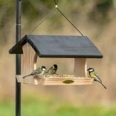 two birds are perched on a bird feeder