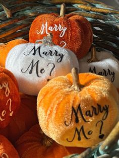 three pumpkins with the names mary, mary and mary on them in a basket