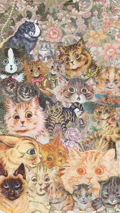 an image of many cats on a floral background