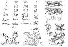 several different types of plants and animals in the water