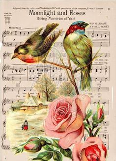 two birds sitting on top of roses with music sheets in the background and sheet music