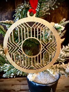 an ornament hanging from a christmas tree in front of a potted plant