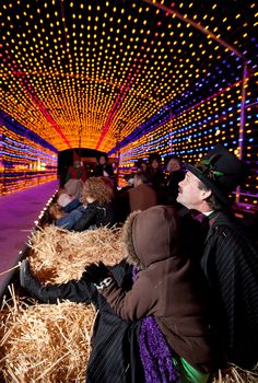 people sitting in hay bales with lights on the walls behind them and one person wearing a top hat