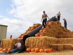 people are standing on hay bales with pumpkins