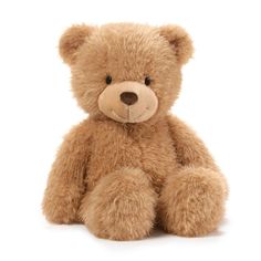 a brown teddy bear sitting up against a white background