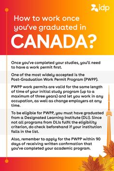 Find a job in Canada Types Of Students, Jobs In Canada, Canadian Things, Work Permit, Moving To Canada, Graduation Post, Study Program, True North, Career Opportunities