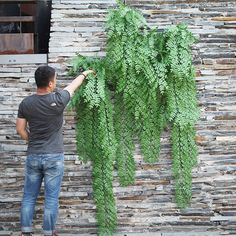 a man standing next to a wall covered in green plant hanging from it's side