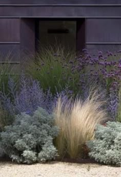 purple and green plants are in front of a building with an open door on the side