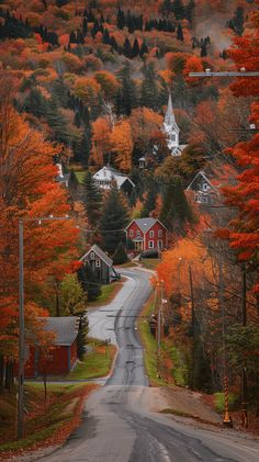 an empty road surrounded by trees and houses