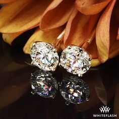 1.00ctw 4 Prong Diamond Earrings Bridal Boutique