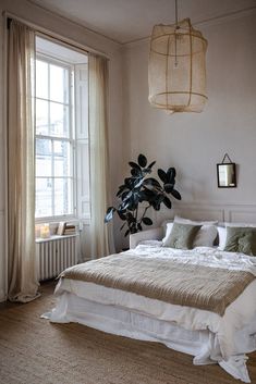 a bedroom with a large bed and a plant hanging from the ceiling in front of it