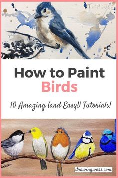 the cover of how to paint birds, an easy step by step guide for beginners