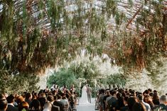 a wedding ceremony in the middle of a forest