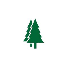 a green christmas tree on a white background with an arrow pointing to the right side