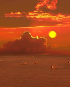 the sun is setting over the ocean with many birds