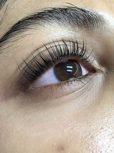 Lash Lift And Tint Aesthetic, Asian Lash Lift, Lash Lift Aesthetic Photo, Lash Lift Inspiration, Lash Lift And Tint, Lift And Laminate Eyelash, Lvl Lash Lift, Eye Lash Photography