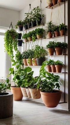 #IndoorGardening
#UrbanJungle
#PlantLovers
#IndoorPlants
#GreenLiving
#HousePlants
#PlantDecor
#PlantStyling
#PlantsMakePeopleHappy
#PlantAddict
#GreenThumb
#PlantParenthood
#BotanicalHome
#IndoorGarden
#PlantGoals
#PlantLife
#PlantInspiration
#JungalowStyle
#HomeJungle
#PlantsOfInstagram
#PlantHome
#LivingWithPlants
#NatureIndoors
#PlantAesthetic
#PlantLoversUnite
#GreenHome
#PlantVibes
#NatureInHome
#PlantDecorIdeas
#PlantInteriorDesign Modern Plant Wall, Water Plants Indoor, Herb Garden Pallet, Wall Hanging Decorations, Balcony Design Ideas, Wall Mounted Planters, Courtyard Gardens Design, Plants Wall, Vertical Planter