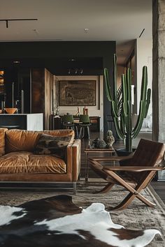 a living room filled with furniture and a cactus