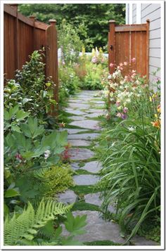 a garden with flowers and plants next to a house