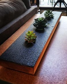 two succulents are sitting on the edge of a coffee table