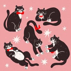 four black and white cats with red bows on their heads are sitting in the air