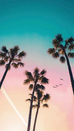 three palm trees are silhouetted against a pink and blue sky